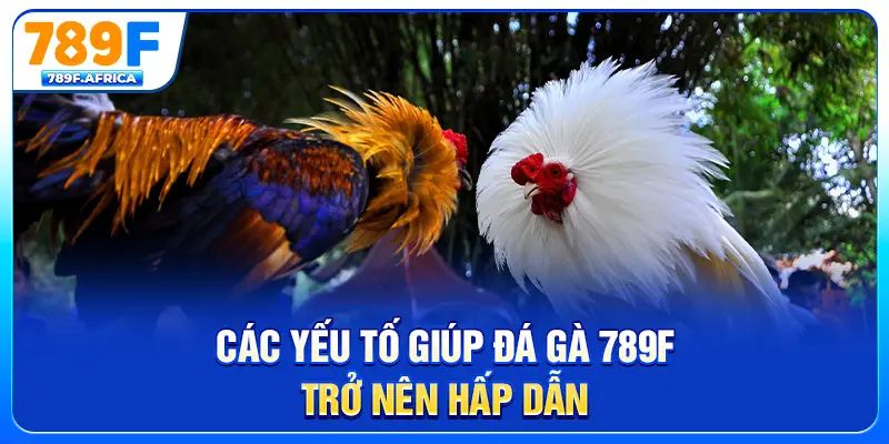 Các yếu tố giúp đá gà 789F trở nên hấp dẫn